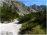 end of road on Pokljuka - Koča na Doliču